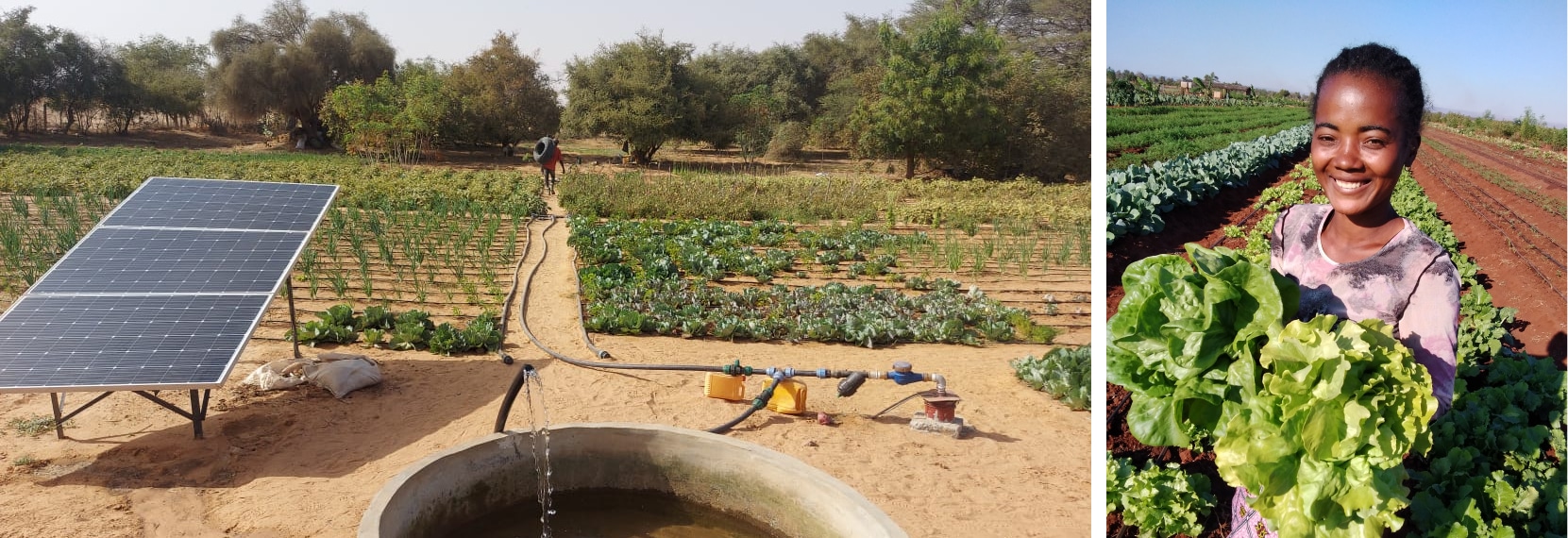 Off-season farmer-led irrigation (2)