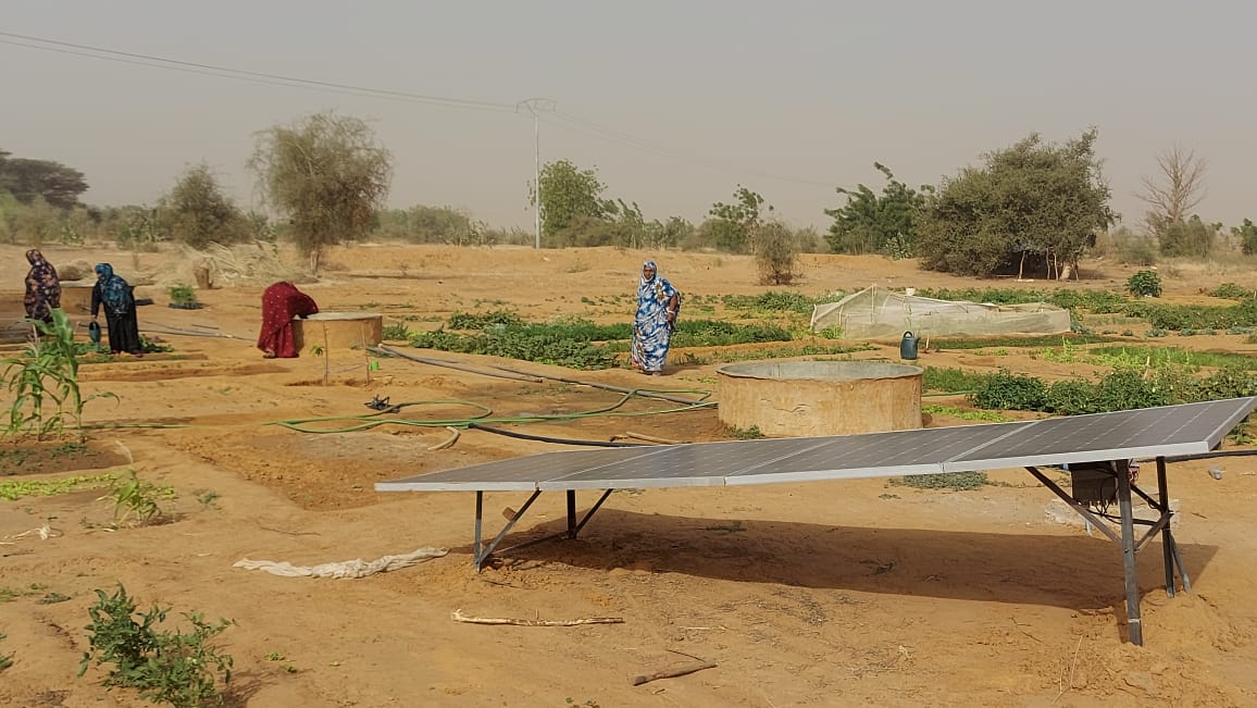 Women community garden in Boghé Mauritania, with solar irrigation installations