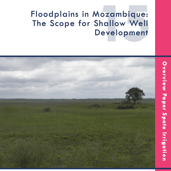 Cover Floodplains Mozambique